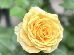 -融园咖啡馆(昙华林店)