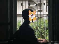 -胡志明市美术馆