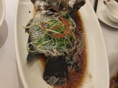 -骏莱海鲜鱼港(五角场店)