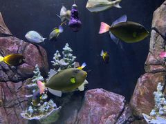 -成都浩海立方海洋公园