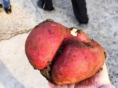 -乡乐园蟹庄·阳澄湖农家乐