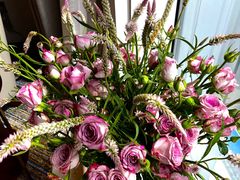 -广州粤海喜来登酒店