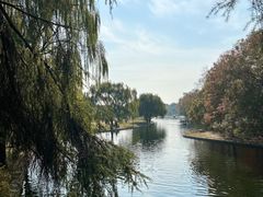 -上海共青森林公园