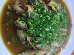 -全乐鱼馆·淳牌有机鱼直营店