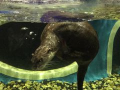 -成都浩海立方海洋公园