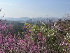 -天台山赤城山景区