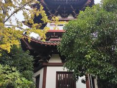 -武汉园博园(武汉自然博物馆)