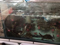 -海香园饭店
