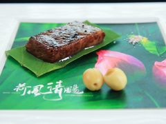 -诺莱仕游艇会