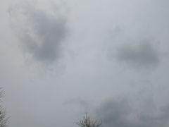 -太平洋电影城(洋洋百货店)