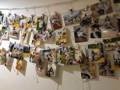 -Husky Go! 哈士奇体验馆·宠物咖啡厅狗咖