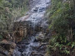 -九龙江国家森林公园