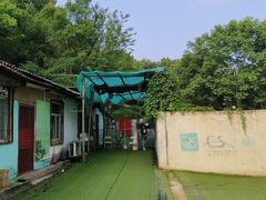 -东湖小天池真人CS彩弹野战基地