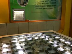 -陕西科学技术馆