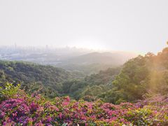 -广州市白云山风景名胜区