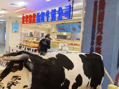 -红星前进面包牛奶公司(君太店)