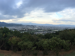 -岚山猴子公园