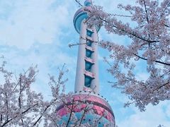 -东方明珠广播电视塔