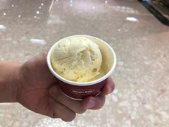 夏威夷果仁雪糕-哈根达斯(天河城店)
