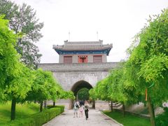 门面-老龙头景区