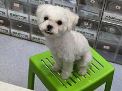 -宠颐生宠物医院·心肾内科·猫专科诊疗中心宠巢店