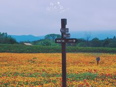 -良渚古城遗址公园