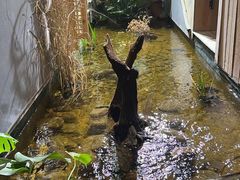 -邈墨茶馆(凤起路店)
