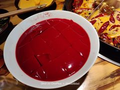 鲜鸭血-陈陈火锅(较场口店)