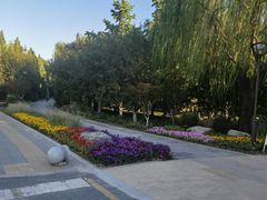 -元大都城垣遗址公园