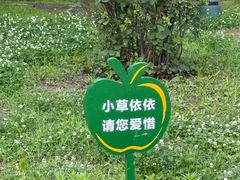 -莫子山公园