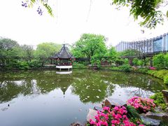 -上海醉白池公园