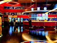-上海金逸影城(静安大悦城店（原新恒星影城）)