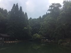 iphone_upload_pic-灵栖洞天