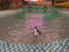 -南宫温泉水世界