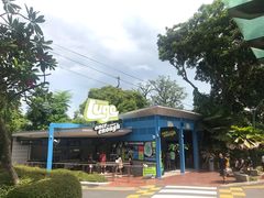 -圣淘沙天际线斜坡滑车