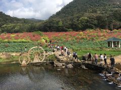 -广州市石门国家森林公园