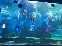 -石林冰雪海洋世界