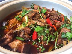 泉水鸡-先机泉水鸡汤(南山老君洞店)