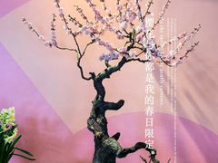 -颐和园