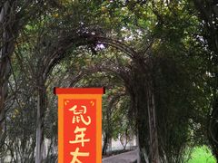 景点-合肥滨湖国家森林公园