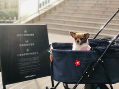 -星巴克(天津鲁能中心第三店)