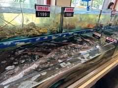 -乐在集市海鲜大排档(平潭店)