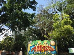 -九龙公园