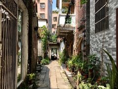 -小洲村