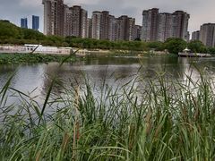 -新江湾城公园
