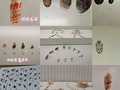 -青岛贝壳博物馆