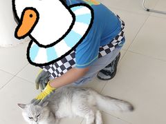 -怪兽屋·羊驼·猫咖·狗咖(俊华广场店)