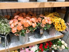 -The Green Party(湛江万达广场店)