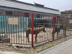 -有喜胶东小馆(超极合生汇太申祥和店)