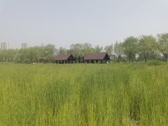 -永定河休闲森林公园